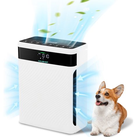 HAUSHOF Purificateur d’Air HEPA H13 CADR 250 m³/h, Filtre HEPA 4-en-1 éliminant 99,97% des polluants, Affichage PM2,5 en Temps Réel, Mode Animal/Pet, Fonction Aromathérapie (1/5)