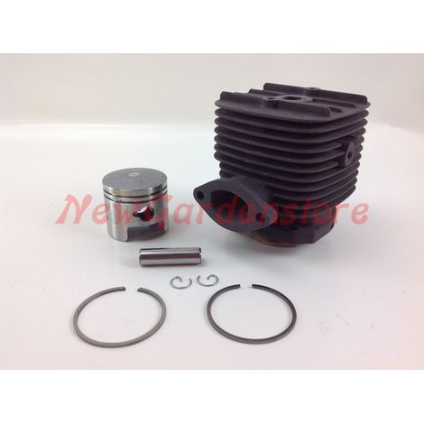Cilindro pistone segmenti ROBIN motore decespugliatore EC 08 016942 (1/4)