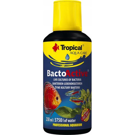 Bacto activo tropical 250 ml