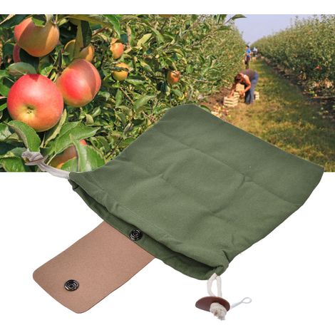 Sac de cueillette Mushroom Foraging Bag Collapsible pour Hiking Camping Hunting - PU Leather Canvas Pochon 22.5x21cm (1/5)