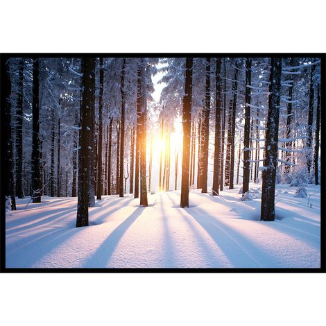 Affiche encadrée forêt enneigée au lever du soleil (1/5)
