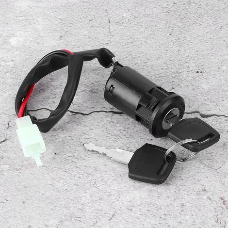 Zündschalter für Elektromobile, 2-adrig, universelles Motorradzubehör, passend für Suzuki Roller und ATV (1/5)
