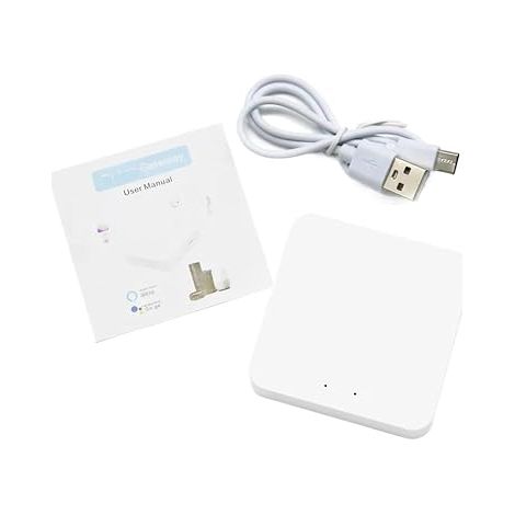 Module de disjoncteur intelligent 10 A, interrupteur à distance, commande vocale à distance(Controller-T-W-H) (1/5)