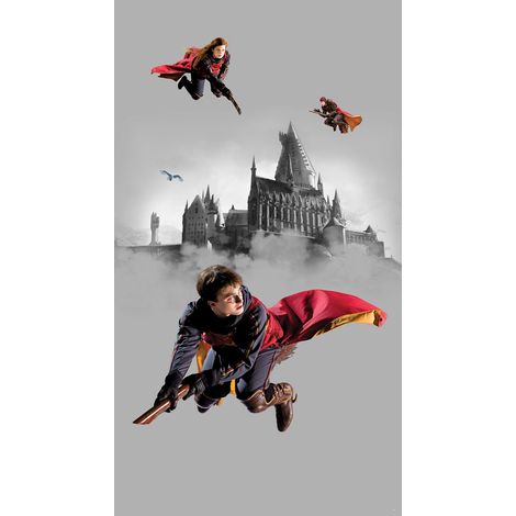 papier peint panoramique Harry Potter Poudlard gris et rouge  - Sanders & Sanders (1/3)