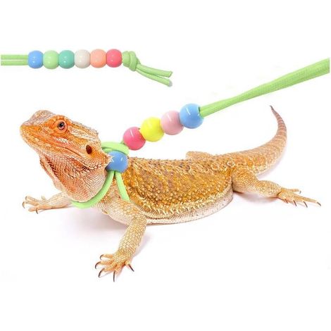 Laisse pour Dragon Barbu avec Harnais Imprimé Léopard, Accessoire Lumineux à Perles Colorées pour Lézard et Reptile (1/4)