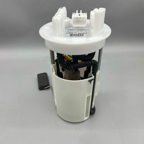 The reference number 30000198 F01R00S110 applies to the model Roewe 550 MG6 DSYP ZCRW002.