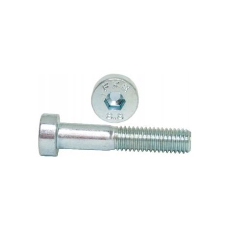 Vis Allen M5x30 classe 8.8 DIN 7984 galvanisées 500 pièces. (1/5)
