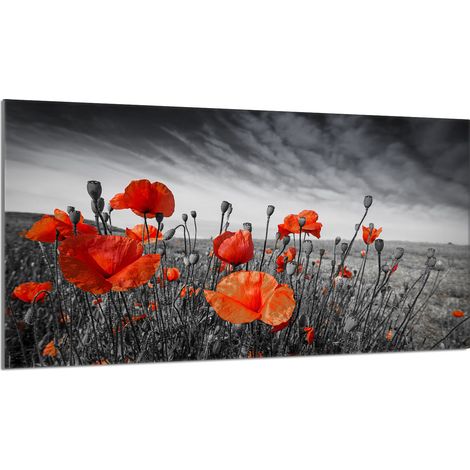 Glasschutzplatte für den Herd 90x52 Maki (1/5)
