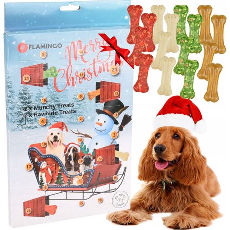 Adventskalender für Hunde mit Leckerlis und Kauartikeln für jeden Feiertag (1/3)