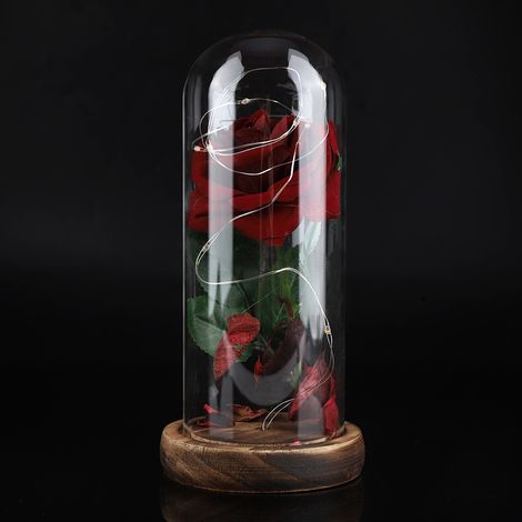 LED-Lichterkette mit konservierter Rose, Glasabdeckung und Holzsockel – Valentinstags- und Hochzeitsgeschenk (Rot) (1/5)