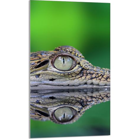 Schneidebrett aus Glas, 30x52 cm, Krokodil (1/5)