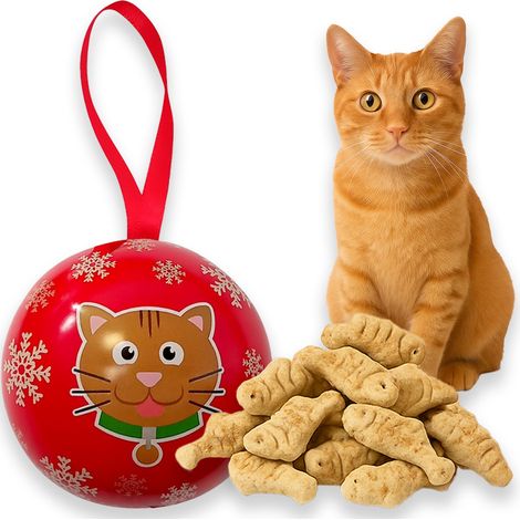 BC Bauble Geschenk-Snacks für Katzen und Kätzchen WEIHNACHTSKÄSESPIELZEUG