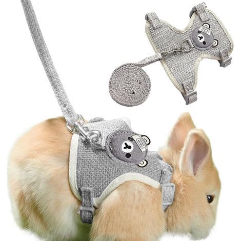 Rabbit Harness, 1.2m Adjustable Leash, Breathable Mesh, For Small Animals (1/5)
