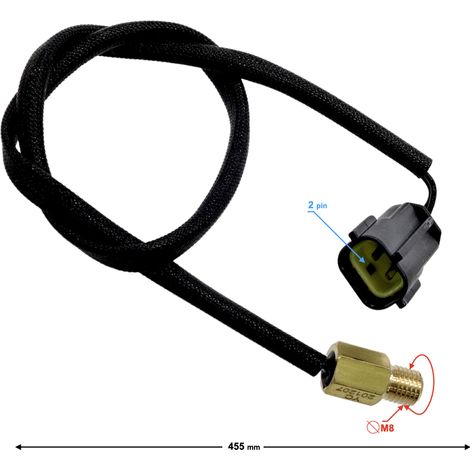 Sensore di temperatura Falcon 125 (E5) (1/2)