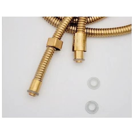 Raccord de flexible de douche 15 m finition dore (1/3)