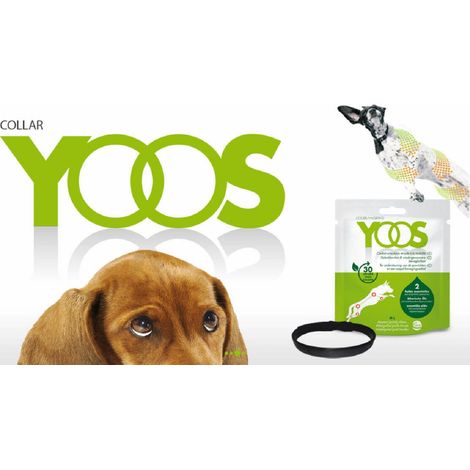 Ceva Yoos Collar salla L