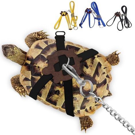 Ledergeschirr, verstellbare Leine, Edelstahl, für Schildkröte und Echse (1/5)