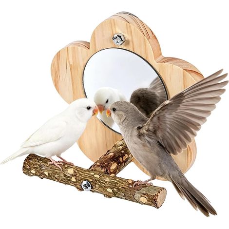 Espejo con forma de jaula de pájaros con percha de madera y espejo (1/5)