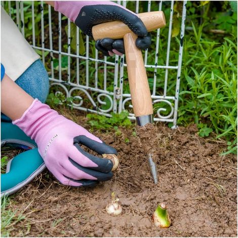 Plantoir à bulbes avec Pointe en INOX,Plantoir à Main Traditionnel,Outil de Perforation de Jardin,plantoir à Main en Acier Inoxydable avec Manche de 28 cm Plantoir,semoir Pratique (1/4)