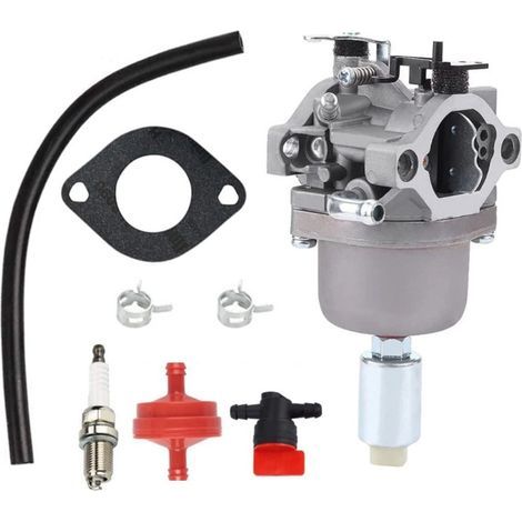 [French Days] 594593 Vergaser-Einstellkit mit Kraftstofffilter für Briggs & Stratton 591731 593514 697141/190 698445 699109/937 791858/888 792171 793224 790418 796109–794572 Vergaser (1/5)