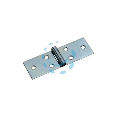CERNIERE LUNGHE CON PERNO FISSO ART.122 - mm.22x51x0,9 spess.