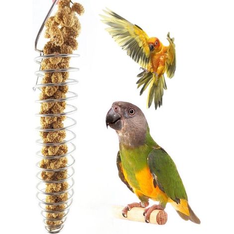 Mangeoire pour oiseaux, mangeoire, simuler le fourrage naturel, (1/5)