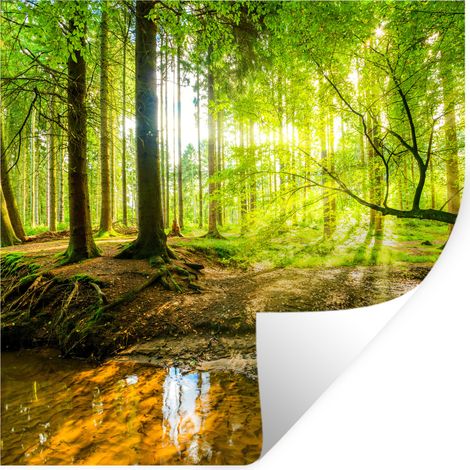 Wall Sticker Forest - Landscape - Water - Trees - Sun - Green - Nature 50x50 cm