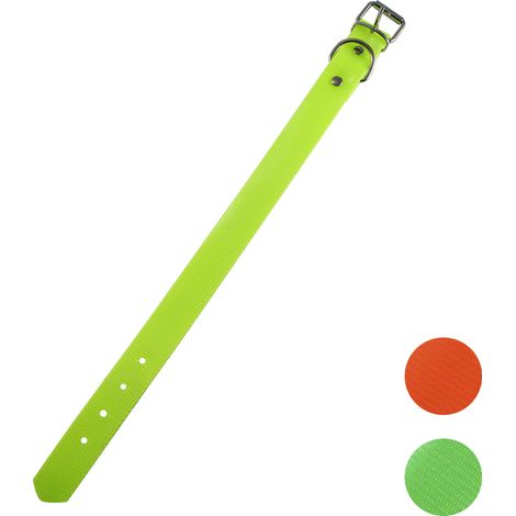 Collier Biothane Hygiénique Durable 25 mm 40 cm Vert 712140 (1/2)