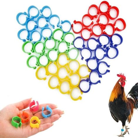 100 bagues identification 20 mm poulets – Anneaux plastique volailles multicolores – Dindes, canards, oies, poules