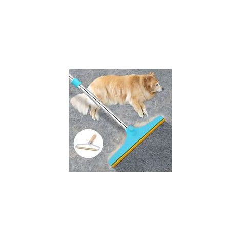 Râteau à poils d'animaux réutilisable - Grattoir à poils d'animaux réutilisable, avec un design breveté, brosse pour tapis et moquettes. (1/5)