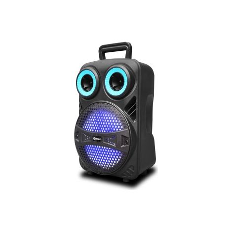 ALTOPARLANTE TROLLEY EFFETTI LUCE USB - 25 W