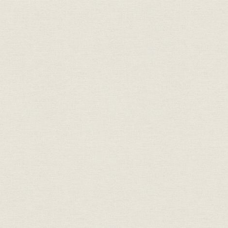 Papier peint moderne style scandinave | Papier peint tendance gris clair uni | Tapisserie intissée pour chambre d'adulte - 10,05 x 0,53 m (1/5)