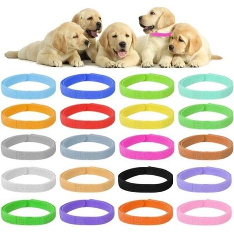 Collier d'identification pour chiots - 24 pièces - Réglable - Nylon et polyester - Couleurs vives