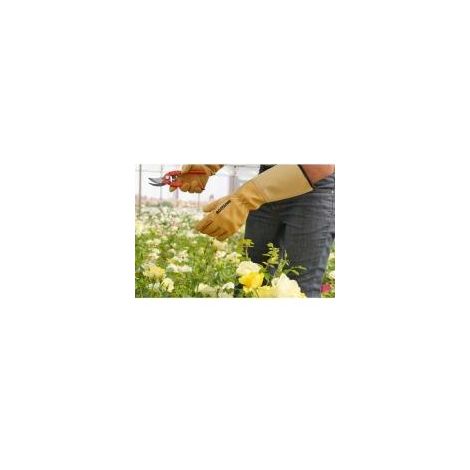 Gant de jardinage taille des rosiers et petits épineux ROSERAIE - ROSTAING - 8 - M
