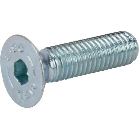 Schraube AL-KO AK702381