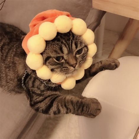 Chapeau pour animaux de compagnie, léger, en polyester, doux, confortable, portable, mignon, pour chats et chiens, motif tournesol