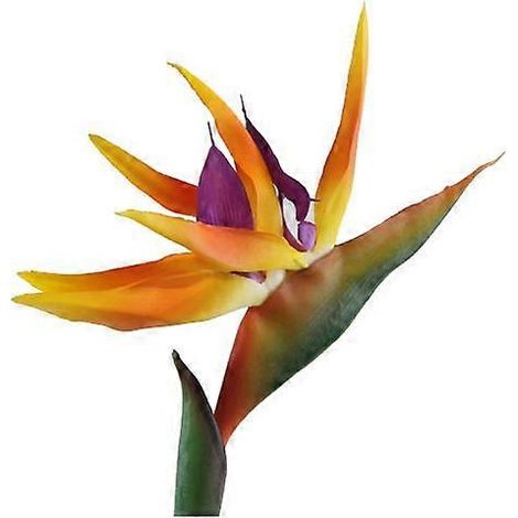 Décoration de mariage Strelitzia Reginae Oiseau de Paradis Plante artificielle Fleur artificielleorange