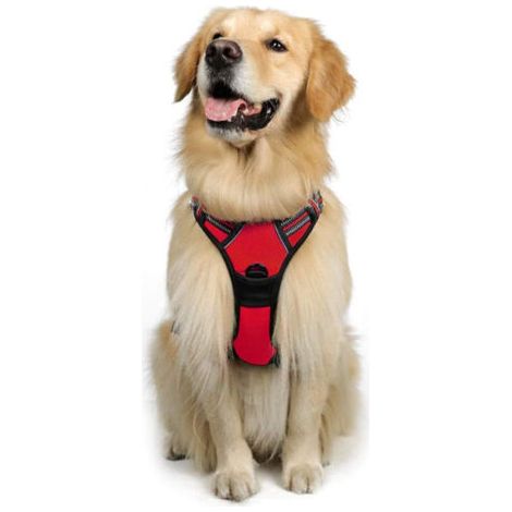 Harnais Chien Anti Traction, Arnet pour Chien Facile à Mettre Harnais Réfléchissant Réglable avec Attache Devant Arnais pour Chien Moyen, Large, (rouge,S) (1/5)