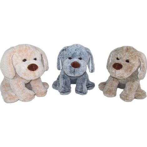 Chien de 30 cm croisé
