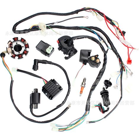 QUAD ATV ATV Accessories 150 200 250CC Three-hole Complete Wiring Harness Ignition System CDI (1/5)