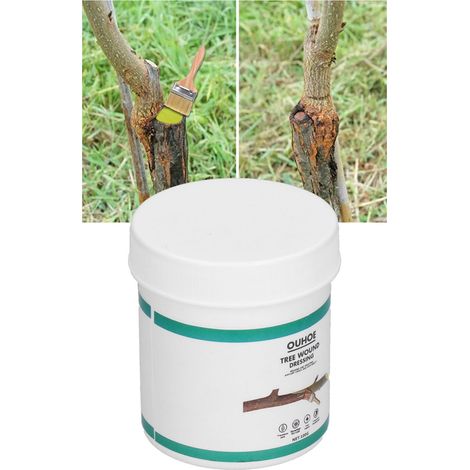 Pansement cicatrisant pour plaies de taille d'arbres (100 g) - Agent de cicatrisation pour bonsaïs et arbres fruitiers (1/5)