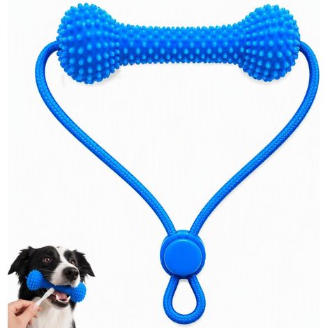 Nettoyage Dentaire Chien : Ouvre, Gueule à Double Action & Kit Dentaire 10cm, Appareil pour Détartrer les Dents Chien (1/5)