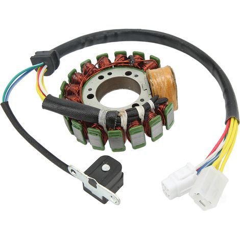 GARRYFIZH Stator bobine 4BD 85510 20 00 faible perte magnétique pour YFB250 Timberwolf 1994‑2000