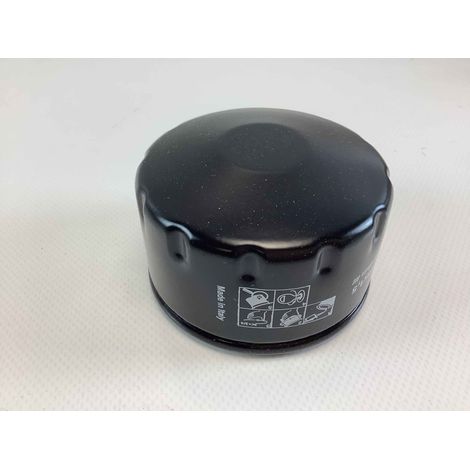 ORIGINAL GIANNI FERRARI Diesel Rasentraktor Filter 00.32.02.0010