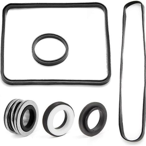Joint de rechange pour pompe de piscine Hayward SP2600 1600 2600X G20241625245 (1/5)