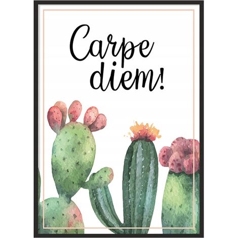 Bildplakat im Rahmen 43x33 cm Kaktus P720 (1/4)