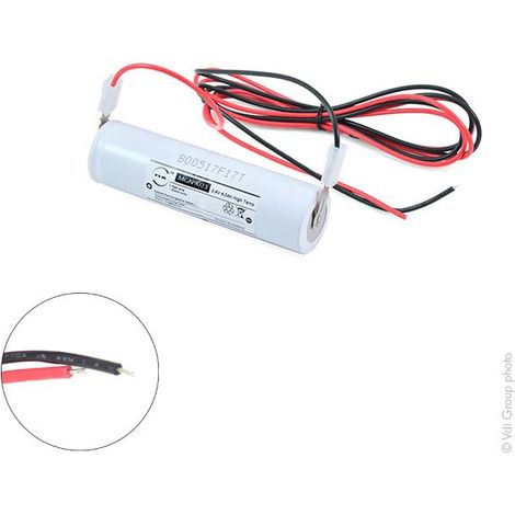NX - Batterie eclairage secours 2xD ST4 + fils 2.4V 4Ah