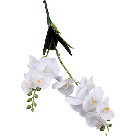 Orchidée papillon artificielle, fleurs d'orchidées papillonblanc (1/5)