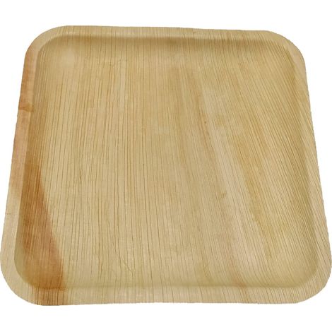 10 assiettes à dîner réutilisables