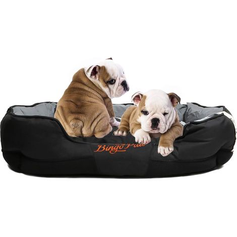 BingoPaw Cama Perros Grande Impermeable Lavable con Cojín Interior Desmontable, Tamaño XL 105 x 80 x 22cm